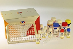 Тест-системы для иммуноферментного анализа производства «Orgentec» (Германия)