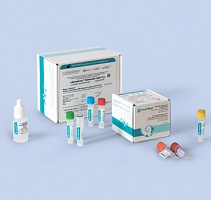 Salmonella typhi-FL. Выявление Salmonella typhi