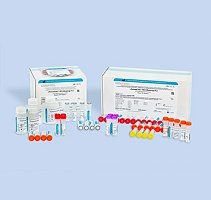 HCV-Монитор-FL