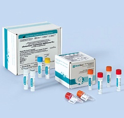 Микозы