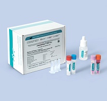 CMV-FL. Выявление ДНК цитомегаловируса человека
