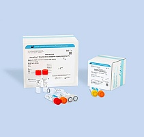 Streptococcus pyogenes-скрин/монитор-FL. Количественное определение ДНК Streptococcus pyogenes