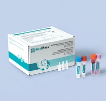Mycoplasma genitalium-FL. Выявление ДНК Mycoplasma genitalium
