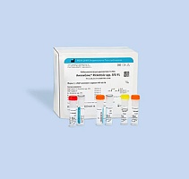 Rickettsia spp. SFG-FL. Диагностика и профилактика заболеваний, вызванных группой клещевых пятнистых лихорадок