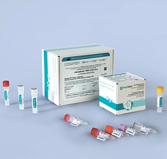 HCV-1/2/3-FL