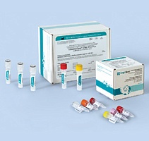 Zika virus-FL. Выявление вируса Зика (Zika virus)