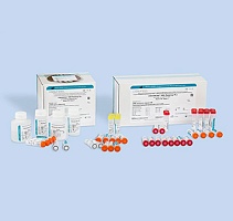 HBV-Монитор-FL