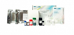 Инвитролоджик ВИЧ-1,2-АТ