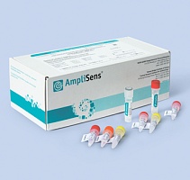 HBV-FL