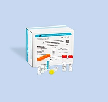 Human enterovirus-FL. Определение РНК энтеровирусов человека (Human enterovirus)