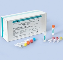 HCV-FL